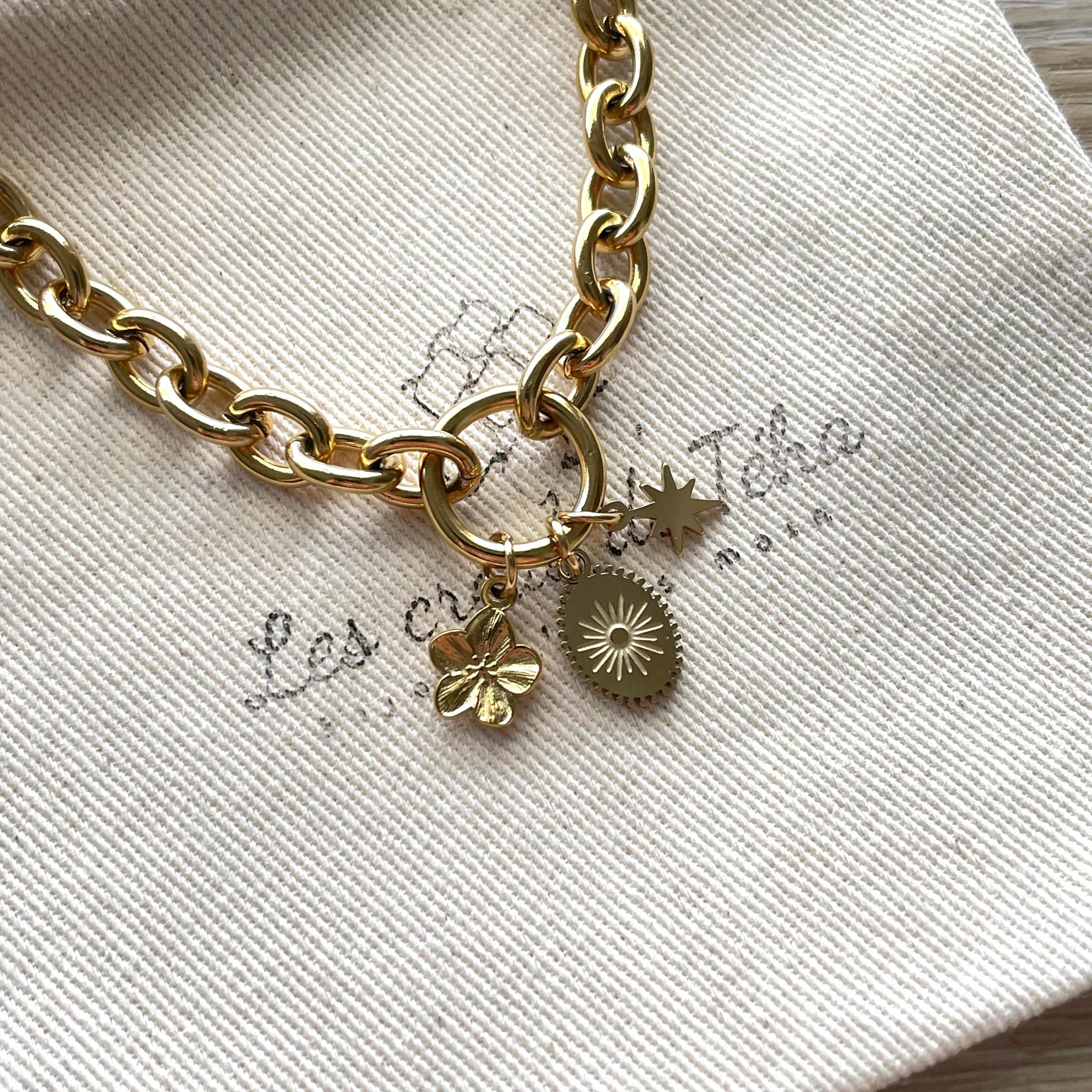 Collier en acier inoxydable  modèle Aurea