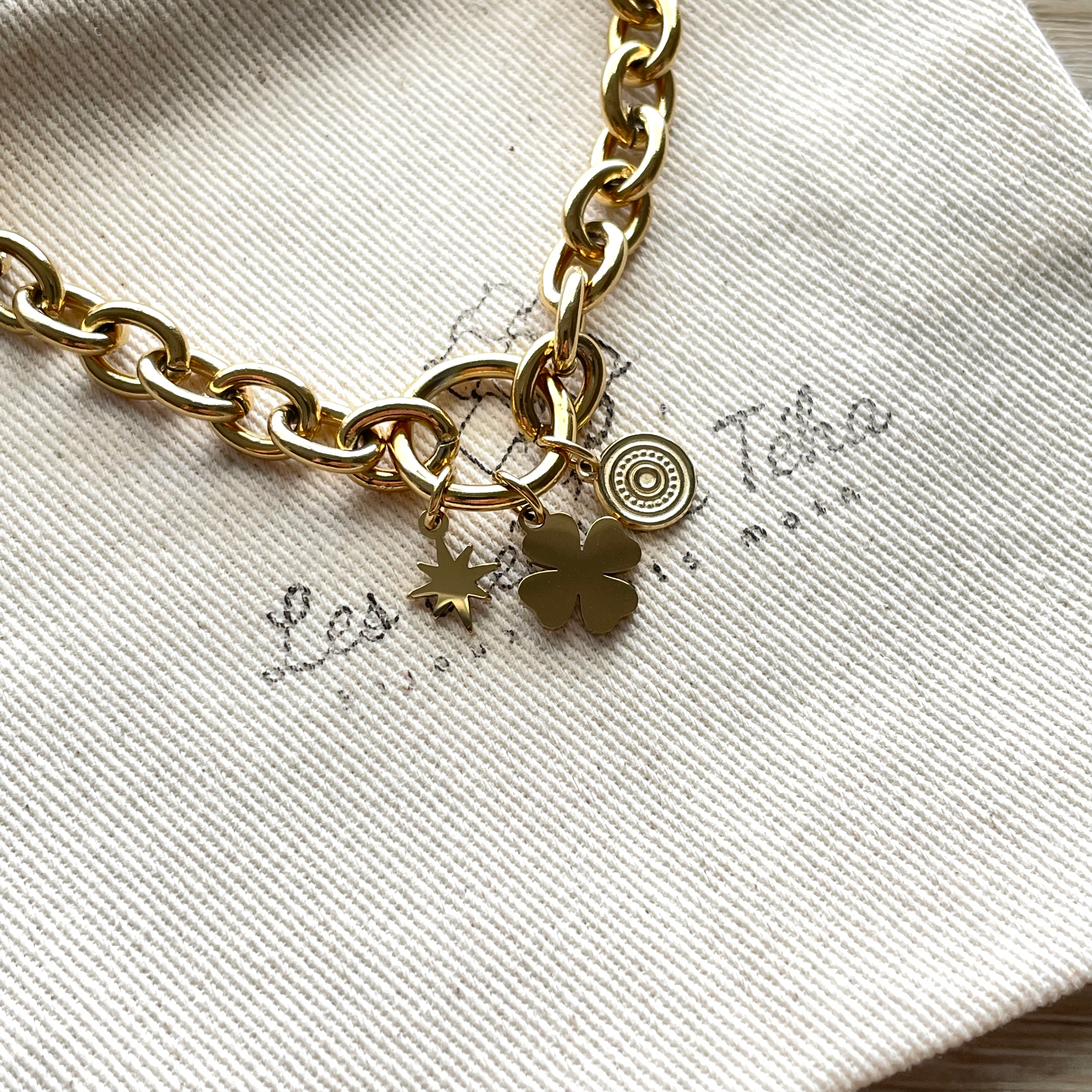 Collier en acier inoxydable  modèle Aurea